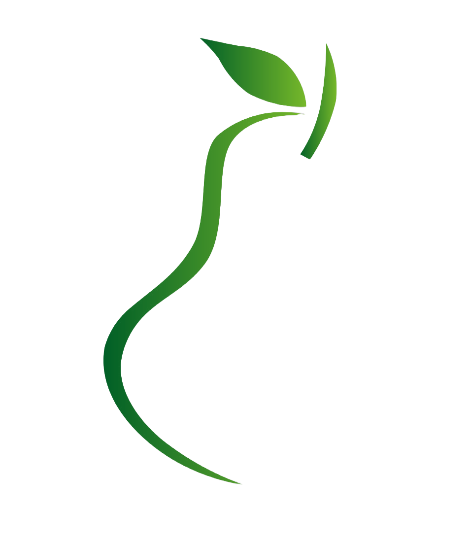 Birne HealthCare Logo